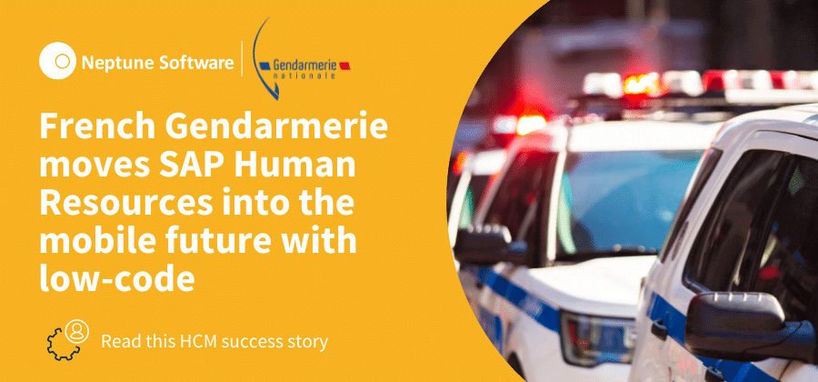  French Gendarmerie Case Study
